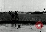 Image of Korean farmers plant seedlings Korea, 1936, second 60 stock footage video 65675028849