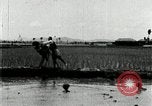 Image of Korean farmers plant seedlings Korea, 1936, second 61 stock footage video 65675028849