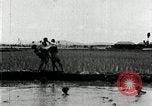 Image of Korean farmers plant seedlings Korea, 1936, second 62 stock footage video 65675028849