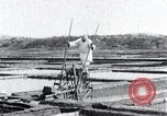 Image of Korean farmer irrigates rice field Korea, 1936, second 30 stock footage video 65675028850