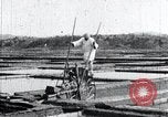 Image of Korean farmer irrigates rice field Korea, 1936, second 31 stock footage video 65675028850
