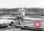 Image of Korean farmer irrigates rice field Korea, 1936, second 32 stock footage video 65675028850