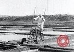 Image of Korean farmer irrigates rice field Korea, 1936, second 33 stock footage video 65675028850
