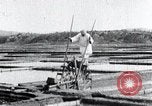 Image of Korean farmer irrigates rice field Korea, 1936, second 34 stock footage video 65675028850