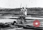Image of Korean farmer irrigates rice field Korea, 1936, second 39 stock footage video 65675028850