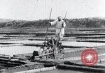 Image of Korean farmer irrigates rice field Korea, 1936, second 41 stock footage video 65675028850