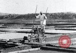 Image of Korean farmer irrigates rice field Korea, 1936, second 42 stock footage video 65675028850