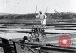 Image of Korean farmer irrigates rice field Korea, 1936, second 43 stock footage video 65675028850