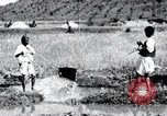 Image of Korean farmers pray Lord Buddha for rain Korea, 1936, second 27 stock footage video 65675028851