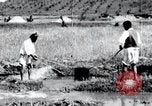 Image of Korean farmers pray Lord Buddha for rain Korea, 1936, second 28 stock footage video 65675028851