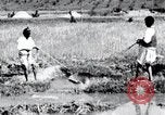 Image of Korean farmers pray Lord Buddha for rain Korea, 1936, second 29 stock footage video 65675028851