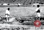 Image of Korean farmers pray Lord Buddha for rain Korea, 1936, second 30 stock footage video 65675028851