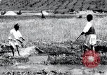 Image of Korean farmers pray Lord Buddha for rain Korea, 1936, second 31 stock footage video 65675028851