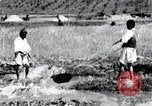 Image of Korean farmers pray Lord Buddha for rain Korea, 1936, second 32 stock footage video 65675028851