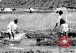 Image of Korean farmers pray Lord Buddha for rain Korea, 1936, second 33 stock footage video 65675028851