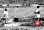 Image of Korean farmers pray Lord Buddha for rain Korea, 1936, second 34 stock footage video 65675028851