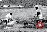 Image of Korean farmers pray Lord Buddha for rain Korea, 1936, second 35 stock footage video 65675028851
