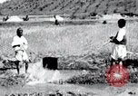 Image of Korean farmers pray Lord Buddha for rain Korea, 1936, second 36 stock footage video 65675028851