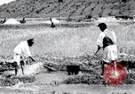 Image of Korean farmers pray Lord Buddha for rain Korea, 1936, second 37 stock footage video 65675028851
