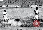 Image of Korean farmers pray Lord Buddha for rain Korea, 1936, second 38 stock footage video 65675028851