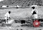 Image of Korean farmers pray Lord Buddha for rain Korea, 1936, second 39 stock footage video 65675028851