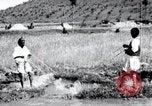 Image of Korean farmers pray Lord Buddha for rain Korea, 1936, second 40 stock footage video 65675028851