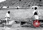 Image of Korean farmers pray Lord Buddha for rain Korea, 1936, second 41 stock footage video 65675028851