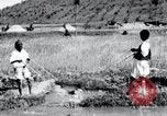 Image of Korean farmers pray Lord Buddha for rain Korea, 1936, second 42 stock footage video 65675028851