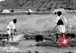 Image of Korean farmers pray Lord Buddha for rain Korea, 1936, second 43 stock footage video 65675028851