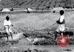 Image of Korean farmers pray Lord Buddha for rain Korea, 1936, second 44 stock footage video 65675028851