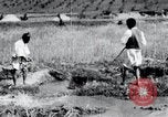 Image of Korean farmers pray Lord Buddha for rain Korea, 1936, second 45 stock footage video 65675028851
