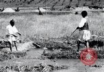Image of Korean farmers pray Lord Buddha for rain Korea, 1936, second 46 stock footage video 65675028851