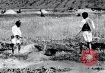 Image of Korean farmers pray Lord Buddha for rain Korea, 1936, second 47 stock footage video 65675028851