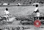 Image of Korean farmers pray Lord Buddha for rain Korea, 1936, second 48 stock footage video 65675028851