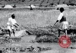 Image of Korean farmers pray Lord Buddha for rain Korea, 1936, second 50 stock footage video 65675028851