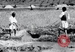 Image of Korean farmers pray Lord Buddha for rain Korea, 1936, second 51 stock footage video 65675028851