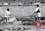 Image of Korean farmers pray Lord Buddha for rain Korea, 1936, second 52 stock footage video 65675028851