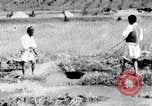 Image of Korean farmers pray Lord Buddha for rain Korea, 1936, second 53 stock footage video 65675028851