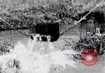 Image of Korean farmers pray Lord Buddha for rain Korea, 1936, second 57 stock footage video 65675028851