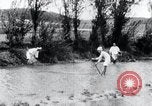 Image of Korean farmers fishing Korea, 1936, second 57 stock footage video 65675028852