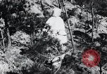 Image of Korean farmer's wife and son collect wood Korea, 1936, second 8 stock footage video 65675028854
