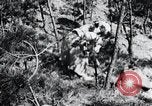 Image of Korean farmer's wife and son collect wood Korea, 1936, second 15 stock footage video 65675028854