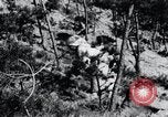 Image of Korean farmer's wife and son collect wood Korea, 1936, second 24 stock footage video 65675028854