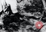 Image of Korean farmer's wife and son collect wood Korea, 1936, second 27 stock footage video 65675028854