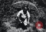 Image of Korean farmer's wife and son collect wood Korea, 1936, second 44 stock footage video 65675028854
