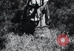 Image of Korean farmer's wife and son collect wood Korea, 1936, second 49 stock footage video 65675028854