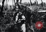 Image of Korean farmer's wife and son collect wood Korea, 1936, second 54 stock footage video 65675028854