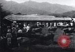 Image of Korean farmers at a bull's market Korea, 1936, second 10 stock footage video 65675028855