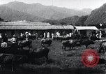 Image of Korean farmers at a bull's market Korea, 1936, second 12 stock footage video 65675028855