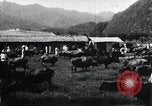 Image of Korean farmers at a bull's market Korea, 1936, second 13 stock footage video 65675028855